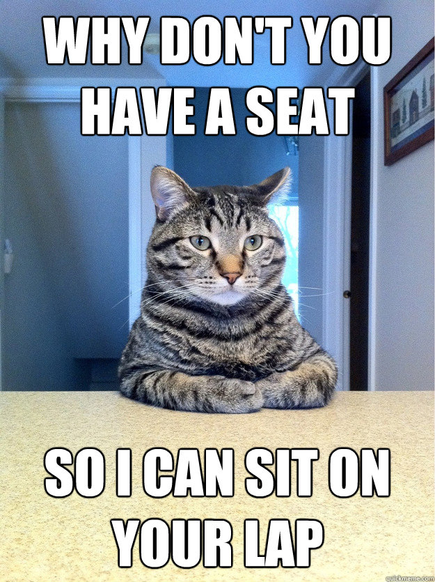 why dont you have a seat so i can sit on your lap - Chris Hansen Cat