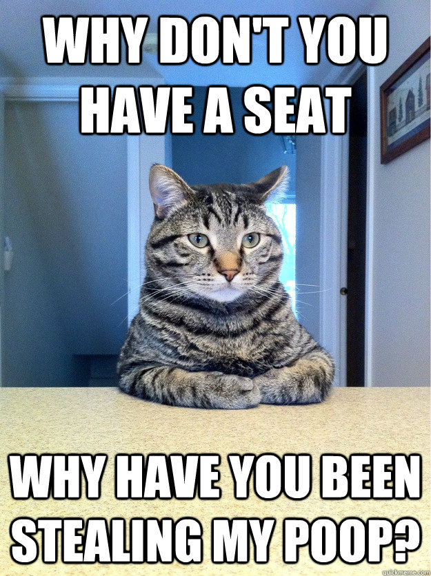 why dont you have a seat why have you been stealing my poop - Chris Hansen Cat