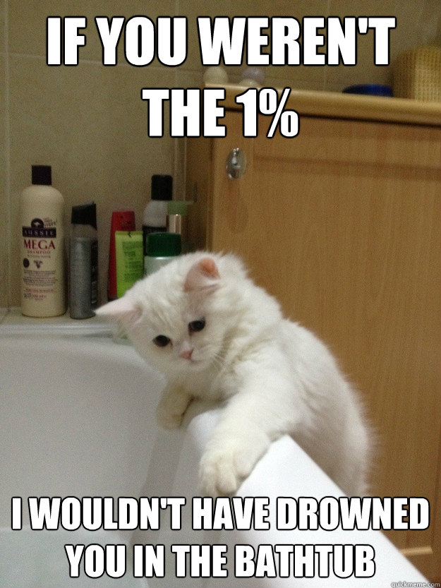 if you werent the 1 i wouldnt have drowned you in the bat - Evil Hindsight Cat
