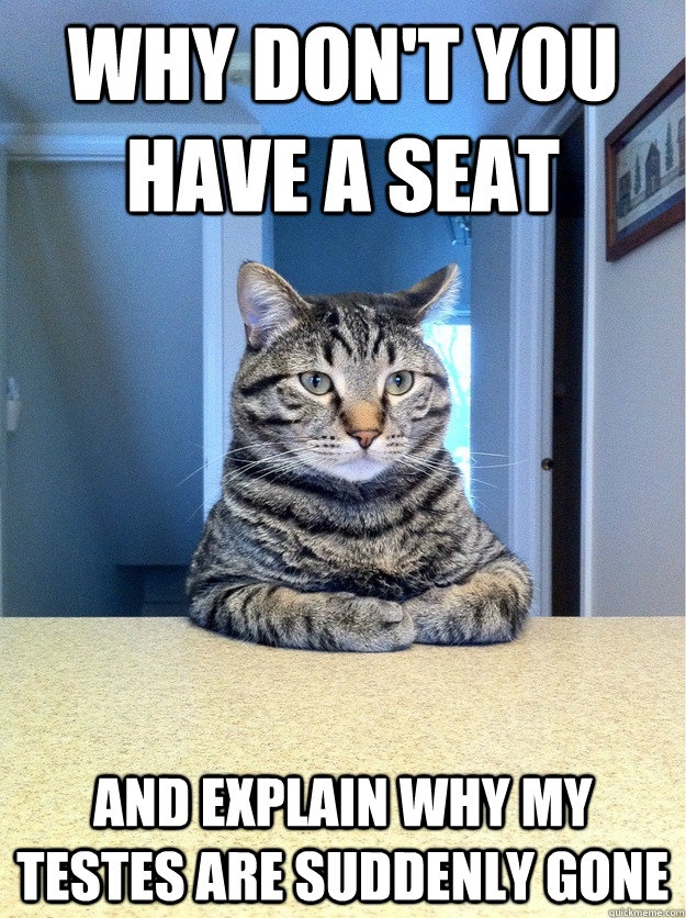 why dont you have a seat and explain why my testes are sudd - Chris Hansen Cat