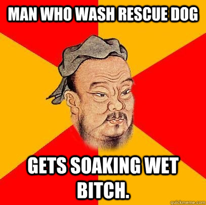 man who wash rescue dog gets soaking wet bitch - Confucius says