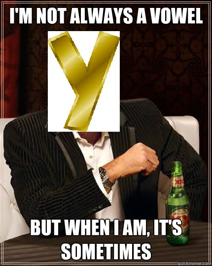 im not always a vowel but when i am its sometimes - The Most Interesting Vowel in the World