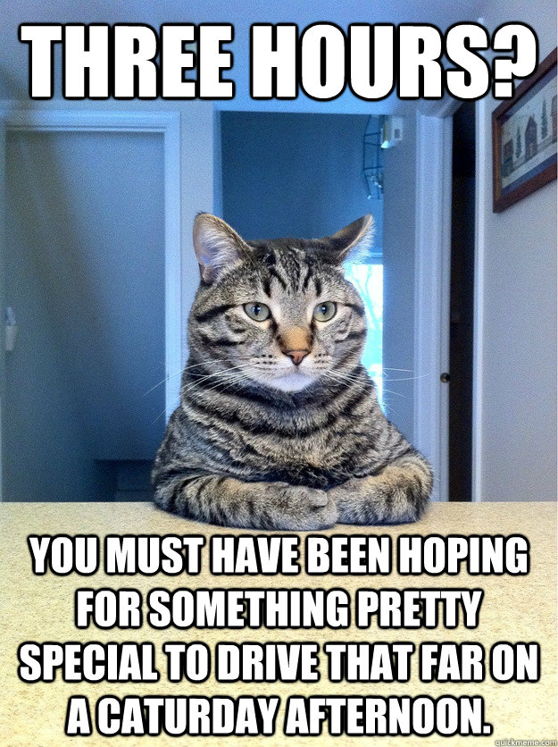 three hours you must have been hoping for something pretty - Chris Hansen Cat
