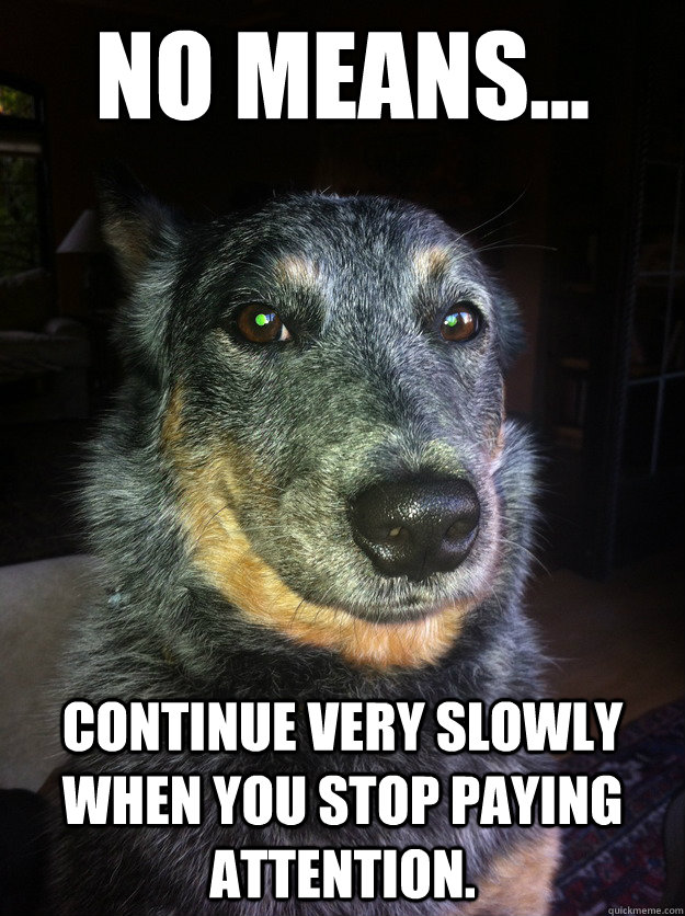 no means continue very slowly when you stop paying attent - Sly Dog