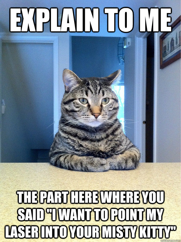 explain to me the part here where you said i want to point - Chris Hansen Cat