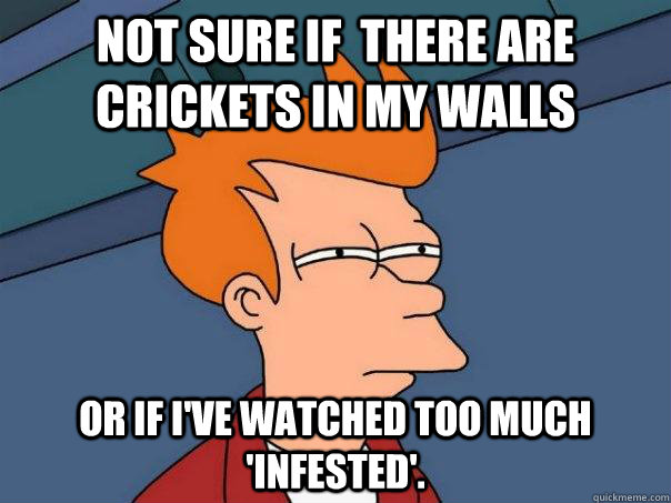 not sure if there are crickets in my walls or if ive watch - Futurama Fry