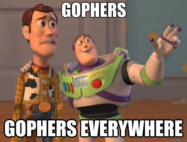 gophers gophers everywhere - Toy Story