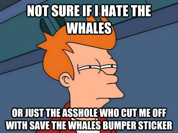 not sure if i hate the whales or just the asshole who cut me - Futurama Fry