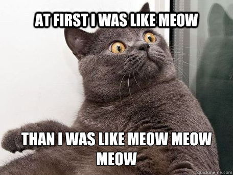 at first i was like meow than i was like meow meow meow - conspiracy cat