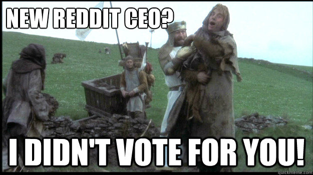 new reddit ceo i didnt vote for you - I didnt vote for you