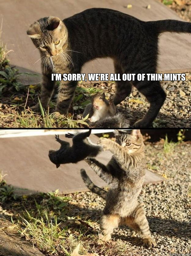 im sorry were all out of thin mints - Annoying Squirrel