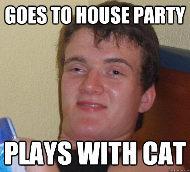 goes to house party plays with cat - 10 Guy