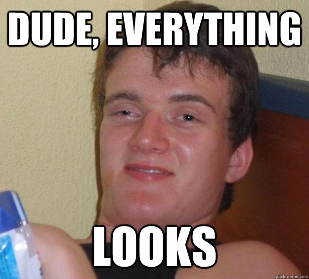 dude everything looks - 10 Guy