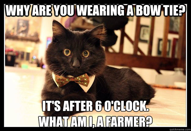 why are you wearing a bow tie its after 6 oclock what am - Fancy Cat