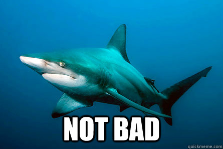 not bad - Not Bad Shark