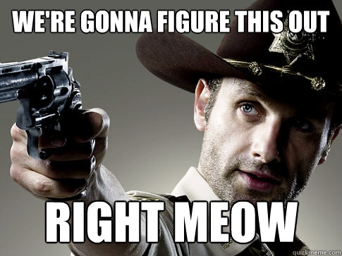 were gonna figure this out right meow - Rick Grimes on TV