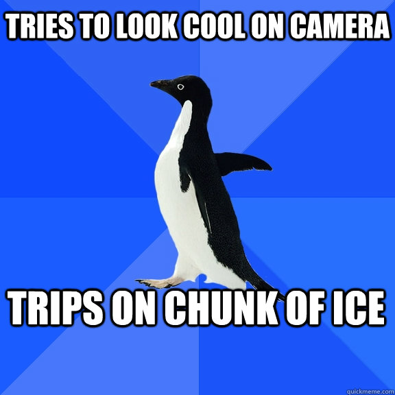 tries to look cool on camera trips on chunk of ice - Socially Awkward Penguin
