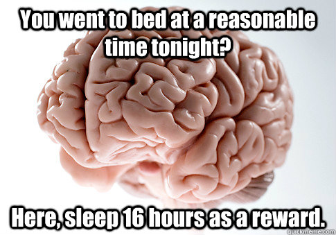 you went to bed at a reasonable time tonight here sleep 16 - Scumbag Brain