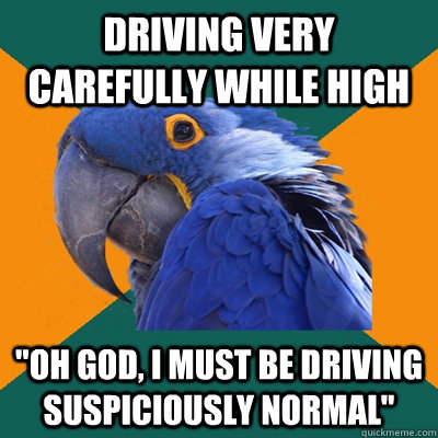 driving very carefully while high oh god i must be driving - Paranoid Parrot