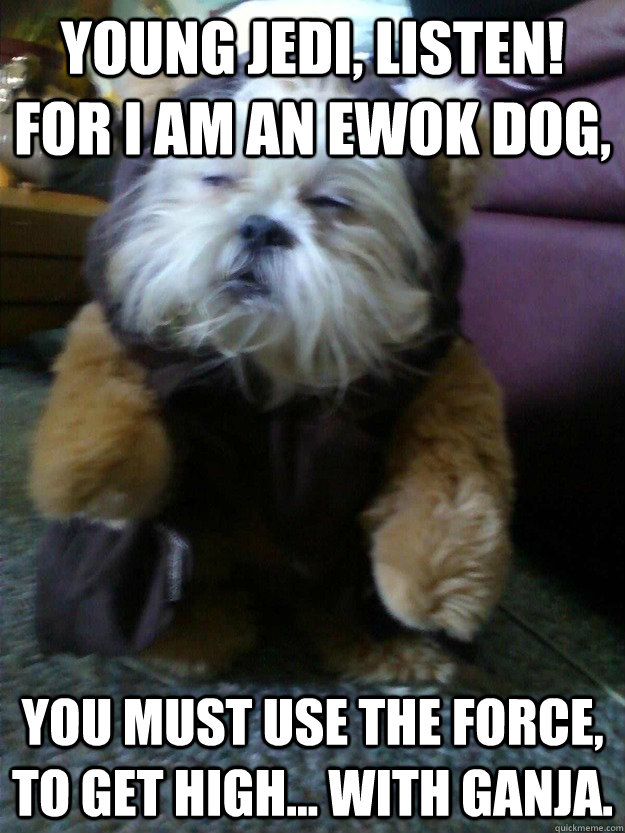 young jedi listen for i am an ewok dog you must use the f - mah dawg knows sup