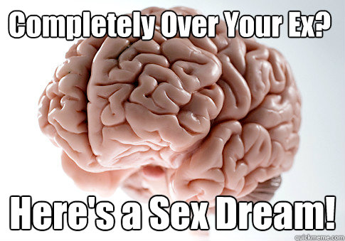 completely over your ex heres a sex dream - Scumbag Brain