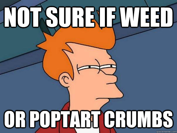 not sure if weed or poptart crumbs - Futurama Fry