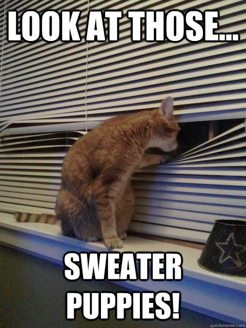 look at those sweater puppies - Peeping Tomcat