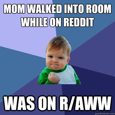 mom walked into room while on reddit was on raww - Success Kid