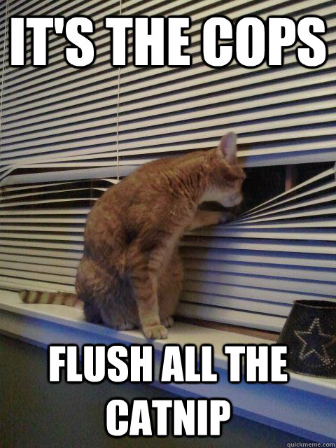its the cops flush all the catnip - Peeping Tomcat