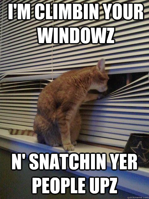 im climbin your windowz n snatchin yer people upz - Peeping Tomcat