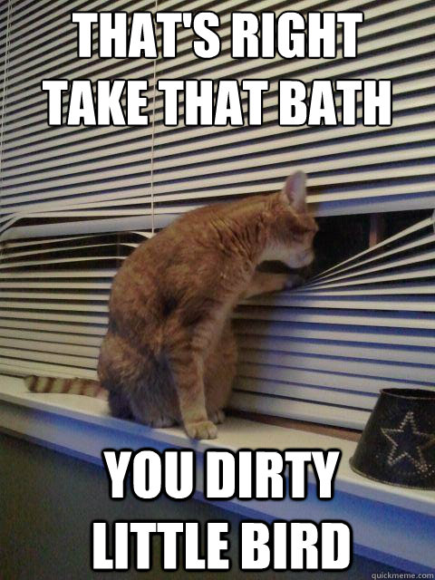 thats right take that bath you dirty little bird - Peeping Tomcat