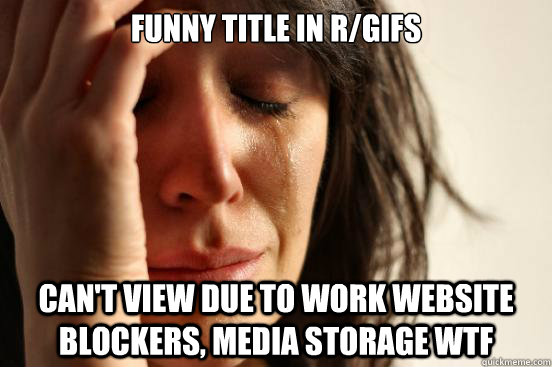 funny title in rgifs cant view due to work website blocker - First World Problems
