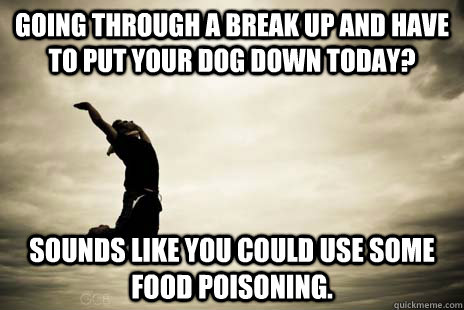 going through a break up and have to put your dog down today - Scumbag Life