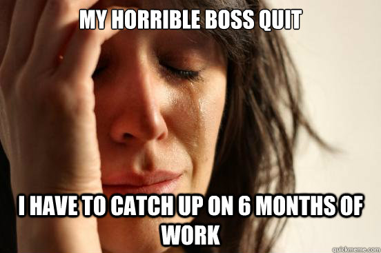 my horrible boss quit i have to catch up on 6 months of work - First World Problems