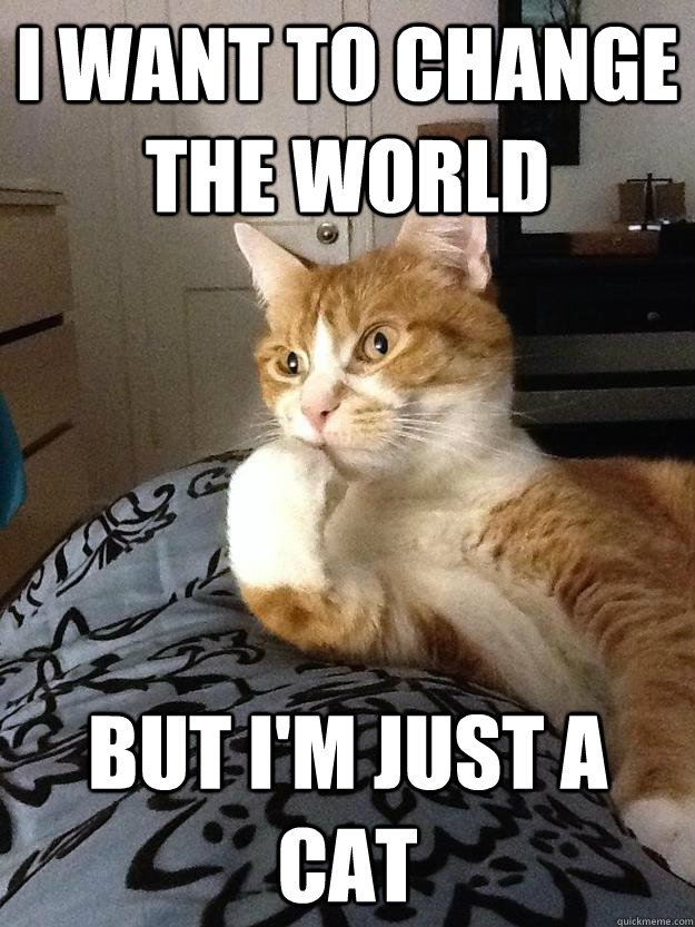 i want to change the world but im just a cat - Depressed cat