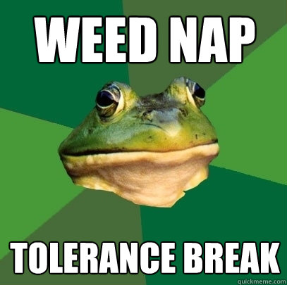 weed nap tolerance break - Foul Bachelor Frog