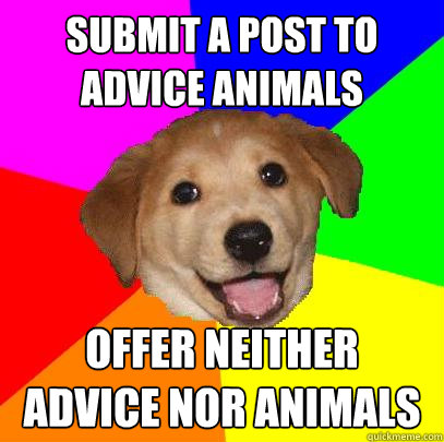 submit a post to advice animals offer neither advice nor ani - Advice Dog