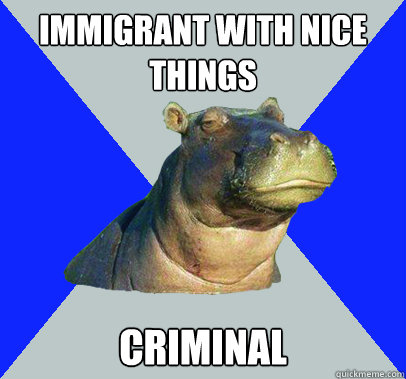 immigrant with nice things criminal - Skeptical Hippo