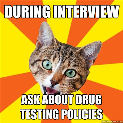 during interview ask about drug testing policies - Bad Advice Cat