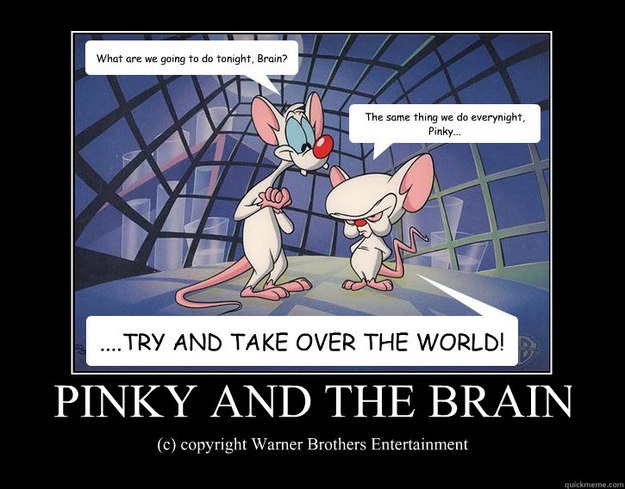 Pinky and the Brain Meme. 
