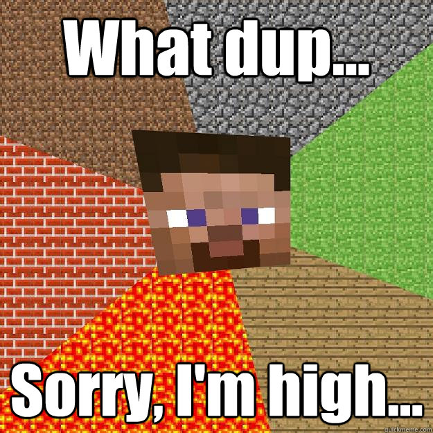 what dup sorry im high - Minecraft