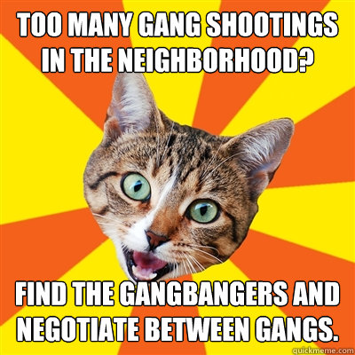 too many gang shootings in the neighborhood find the gangba - Bad Advice Cat