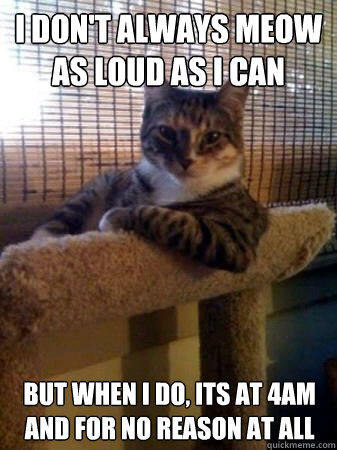 i dont always meow as loud as i can but when i do its at 4 - The Most Interesting Cat in the World