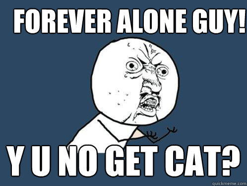 forever alone guy y u no get cat - Y U No