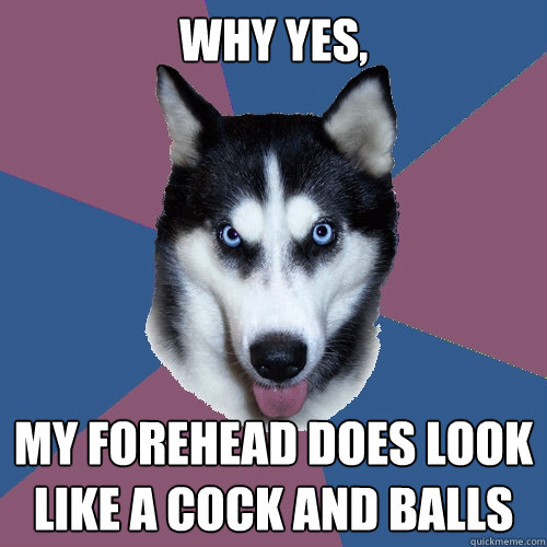 why yes my forehead does look like a cock and balls - Creeper Canine