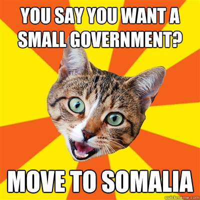 you say you want a small government move to somalia - Bad Advice Cat
