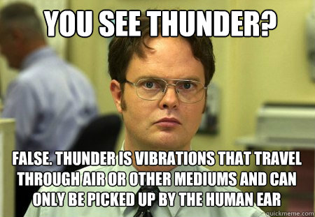 you see thunder false thunder is vibrations that travel th - Schrute