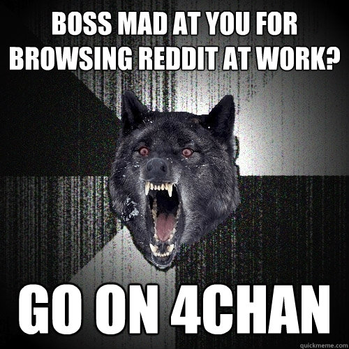 boss mad at you for browsing reddit at work go on 4chan - Insanity Wolf