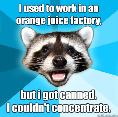 I used to work in an orange juice factory but i got canned I - Lame Pun Coon
