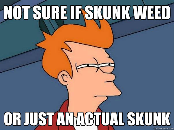 not sure if skunk weed or just an actual skunk - Futurama Fry